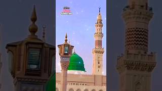 Hara Gumbad Jo Dekhoge Zamana Bhool Jaoge Naat  Heart Touching Naat  Ghulam Mustafa Qadri Studio5 [upl. by Marlow420]