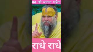 Premananda Satsang in Vrindavan Bhajan Marg and More SHORTS [upl. by Herstein]