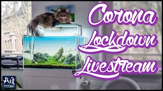 Corona Lockdown Livestream gegen Langeweile  AquaOwner [upl. by Euqinommod]