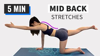 5 min Mid Back Stretches  Mid Back Pain Follow Along [upl. by Duck270]