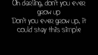 Never Grow Up  Taylor Swift lyrics [upl. by Heindrick]