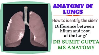 Pulmonary Hypertension Animation [upl. by Aynekal21]