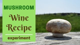 How to make Mushroom Wine  Recipe and Method [upl. by Topping824]