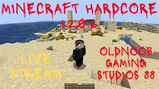 Minecraft hardcore 1206  Desert Biome [upl. by Aliled]