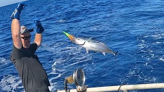 Albacore Tuna Fishing KICKOFF TO 2024 SEASON GET SUM [upl. by Conners]