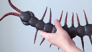 HUGE CENTIPEDE [upl. by Pinchas14]