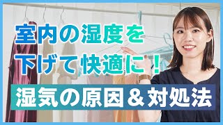 ジメジメした部屋の湿気の原因や対処法をご紹介！室内の湿度を下げて快適に過ごそう【初心者必見！賃貸暮らしガイド】 [upl. by Loriner967]