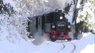 Weißeritztalbahn 2012  Mit der 99 16081 von Schmiedeberg nach Obercarsdorf [upl. by Trinity]