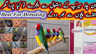 Best Vitamins Minerals and Calcium Syrup For Birds Breeding  Gouldian Finch Breeding  Birds Health [upl. by Eirrab]