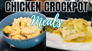 Cheap amp Fancy Crockpot Dinners  The EASIEST Tasty Slow Cooker Recipes  Simple Recipes [upl. by Paola]