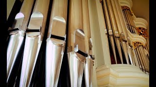 ORGANIST SEBASTIAN HEINDL PLAYS MAX REGER TOCCATA AND FUGUE OP 80 [upl. by Ursola929]