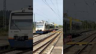 SWEG Ortenau SBahn gengenbach schwarzwald train germany metro [upl. by Aneeroc811]