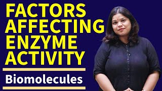 Factors Affecting Enzyme Activity Class 11 Biology  Biomolecules [upl. by Dnumyar]