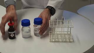 Iodine test for starch IGCSE Biology [upl. by Hollingsworth]