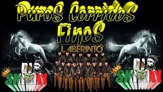 puros corridos finos ✴GRUPO LABERINTO✴ [upl. by Prescott445]