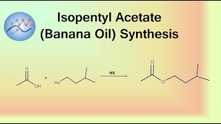 Isopentyl Acetate Banana Oil Synthesis Mechanism  Organic Chemistry [upl. by Ennahteb686]