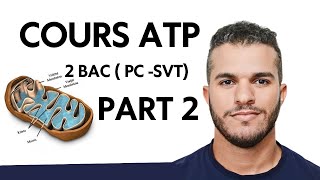 ATP 2 Bac  Libération de lénergie emmagasinée dans la matière organique Part 2 [upl. by Windzer]