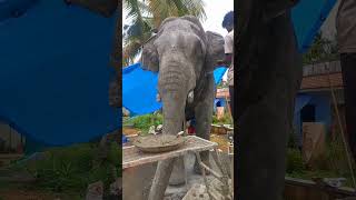 Making of Padayappa  Cement sculpture  Aanamaker roboticelephant [upl. by Bartie913]