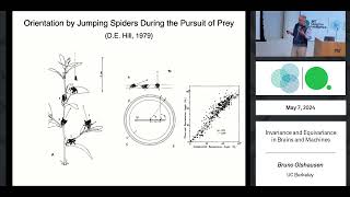 Invariance and equivariance in brains and machines [upl. by Akemet57]