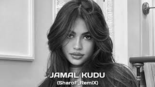 Nurzida  Jamal Kudu SharoFRemiX [upl. by Adalheid526]