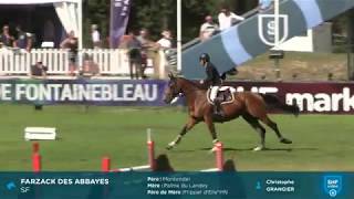 Fontainebleau 2019  Parcours  FARZACK DES ABBAYES Champion des 4ans Mâles [upl. by Mayer]