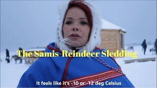 TROMSO NORWAY VLOG 2017 REINDEER SLEDDING DAY 3 [upl. by Albertine]