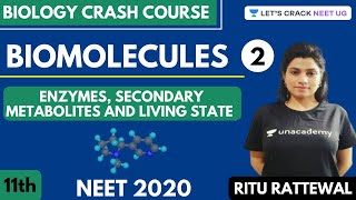 Biomolecules  Enzymes Secondary Metabolites and Living State  Part 2  NEET 2020 [upl. by Editha]