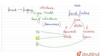 Outline a project which aims to find the dominant coat colour in dogs  10  HEREDITY AND EVOL [upl. by Faro]