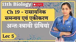 L5 अन्तःस्त्रावी ग्रंथियां Ch19 रासायनिक समन्वय एवं एकीकरण  11th Biology hindi medium renu Maam [upl. by Etom220]