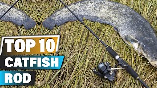 Best Catfish Rods In 2024  Top 10 Catfish Rod Review [upl. by Maxia644]