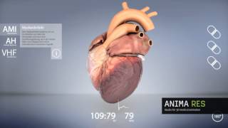 interactive 3d heart animation [upl. by Briscoe]