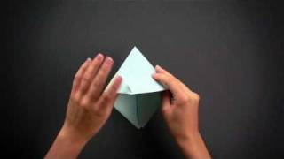 Antalis Origami  Boat [upl. by Odelle480]