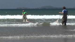 Visit Pembrokeshire  Seine Fishing [upl. by Sallad]