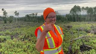 Moose hunting Newfoundland 2023 brothers wife’s hunt first moose kill [upl. by Nebuer]