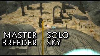 Rappelz Gambit  Sky Solo Master Breeder  Kreaturenmeister Lv 204 [upl. by Epuladaug]