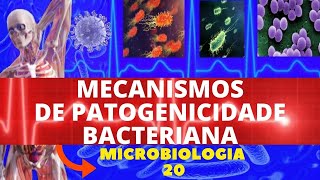 MECANISMOS DE PATOGENICIDADE BACTERIANA  MICROBIOLOGIA BACTÉRIAS PATOGÊNICAS [upl. by Atsirhc514]