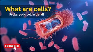 What are cells Structure of prokaryotic cell Understanding PROKARYOTIC CELL in detail [upl. by Freeman]