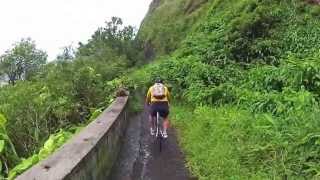 Biking the Old Pali Road [upl. by Intihw]