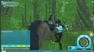 Star Stable Online  Level Up Trick [upl. by Wehtam]