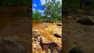 Jannat jannat mausam jungle forest pani india nature love adventure reels gopro army [upl. by Notyep]