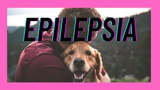 Epilepsia ¿qué es ¿cómo se expresa y ¿cómo la puedo clasificar [upl. by Love]