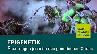 Epigenetik  Änderungen jenseits des genetischen Codes [upl. by Neirrad]