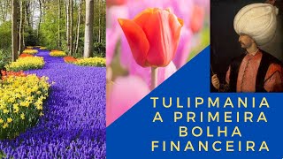 Tulipmania  Flores História Holanda e Keukenhof [upl. by Lowson]