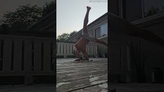 ONE ARM PLANCHES ON REST DAYZ [upl. by Nim]