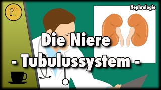 Unser Tubulussystem erklärt Wie wird aus Blut Urin Teil 1 [upl. by Gayleen]