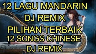 12 Lagu mandarin DJ Remix Pilihan Terbaik chinese DJ歌曲 [upl. by Winchell345]