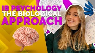 IB Psychology Revision The Biological Approach Part 1 [upl. by Refinnaj]