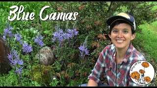 Blue Camas Ep 1  Botany with Brit [upl. by Anirav]