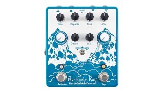 EarthQuaker Devices Avalanche Run v2 Stereo Reverb amp Delay [upl. by Seleta]