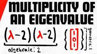 Algebraic and Geometric Multiplicity of Eigenvalues  Linear Algebra [upl. by Kilgore324]